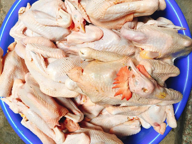 Đi chợ chọn gà ăn Tết nếu thấy con gà có 3 đặc điểm sau phải mua ngay vì chắc chắn là gà ngon sạch, lại không lo gian thương bơm nước, dùng chất tạo vàng-2