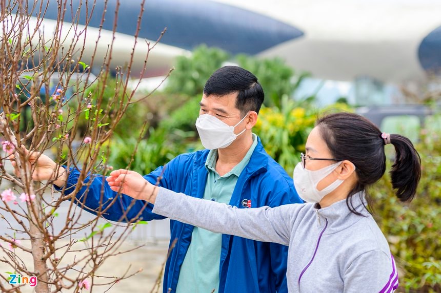 Đào Tết, Tết Nguyên đán, chợ hoa, chợ hoa tết, Quảng Ninh, Hạ Long, đào đá, nhất chi mai ảnh 7 Dao Tet, Tet Nguyen dan, cho hoa, cho hoa tet, Quang Ninh, Ha Long, dao da, nhat chi mai anh 7
