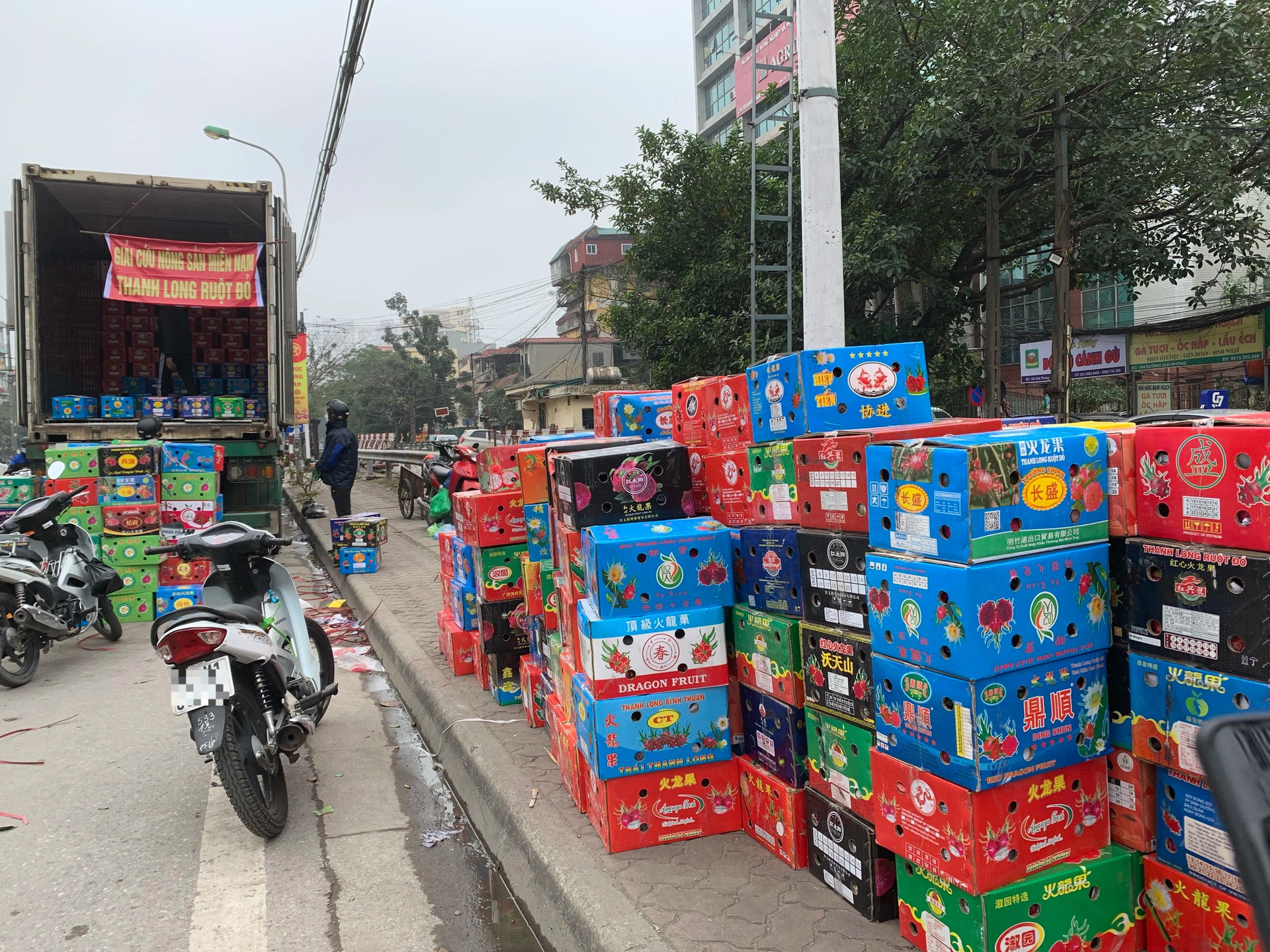 Khám phá những xe giải cứu thanh long giá siêu rẻ trên đường phố Hà Nội - 2