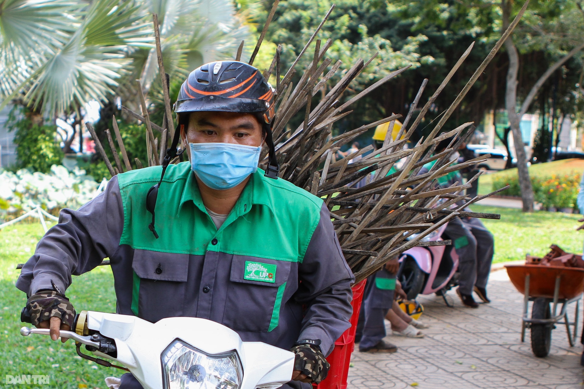 Gia đình hổ uy nghi, hùng tráng tại Hội Xuân thành phố biển Vũng Tàu - 7 Gia đình hổ uy nghi, hùng tráng tại Hội Xuân thành phố biển Vũng Tàu - 7