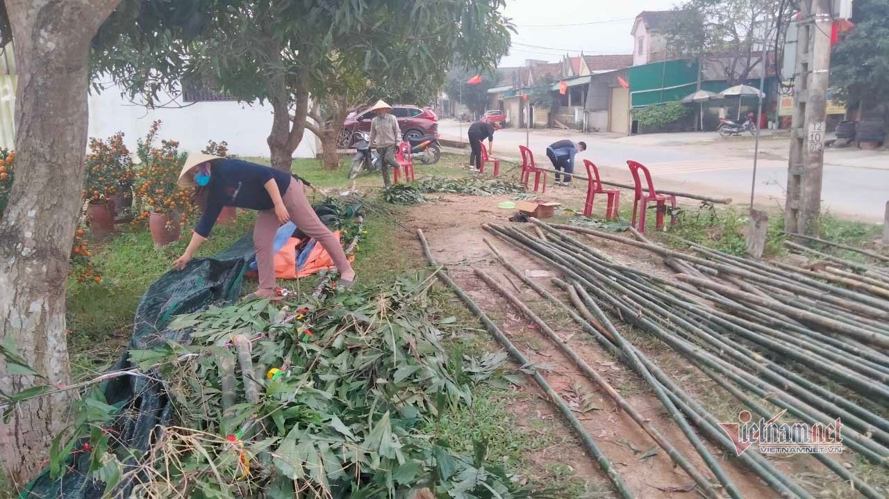 Trồng cây 'đuổi quỷ', Tết đến hạ bán thu tiền triệu ăn Tết