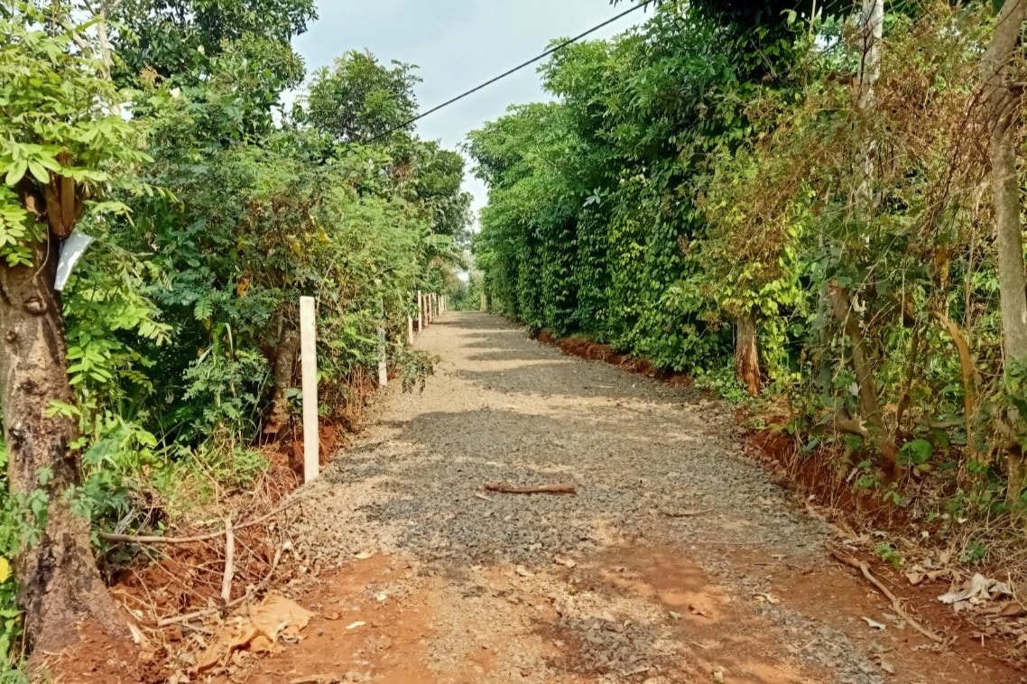 Xử nghiêm việc lợi dụng dự thảo quy hoạch đất để tạo bong bóng BĐS - 4 Xử nghiêm việc lợi dụng dự thảo quy hoạch đất để tạo bong bóng BĐS - 4