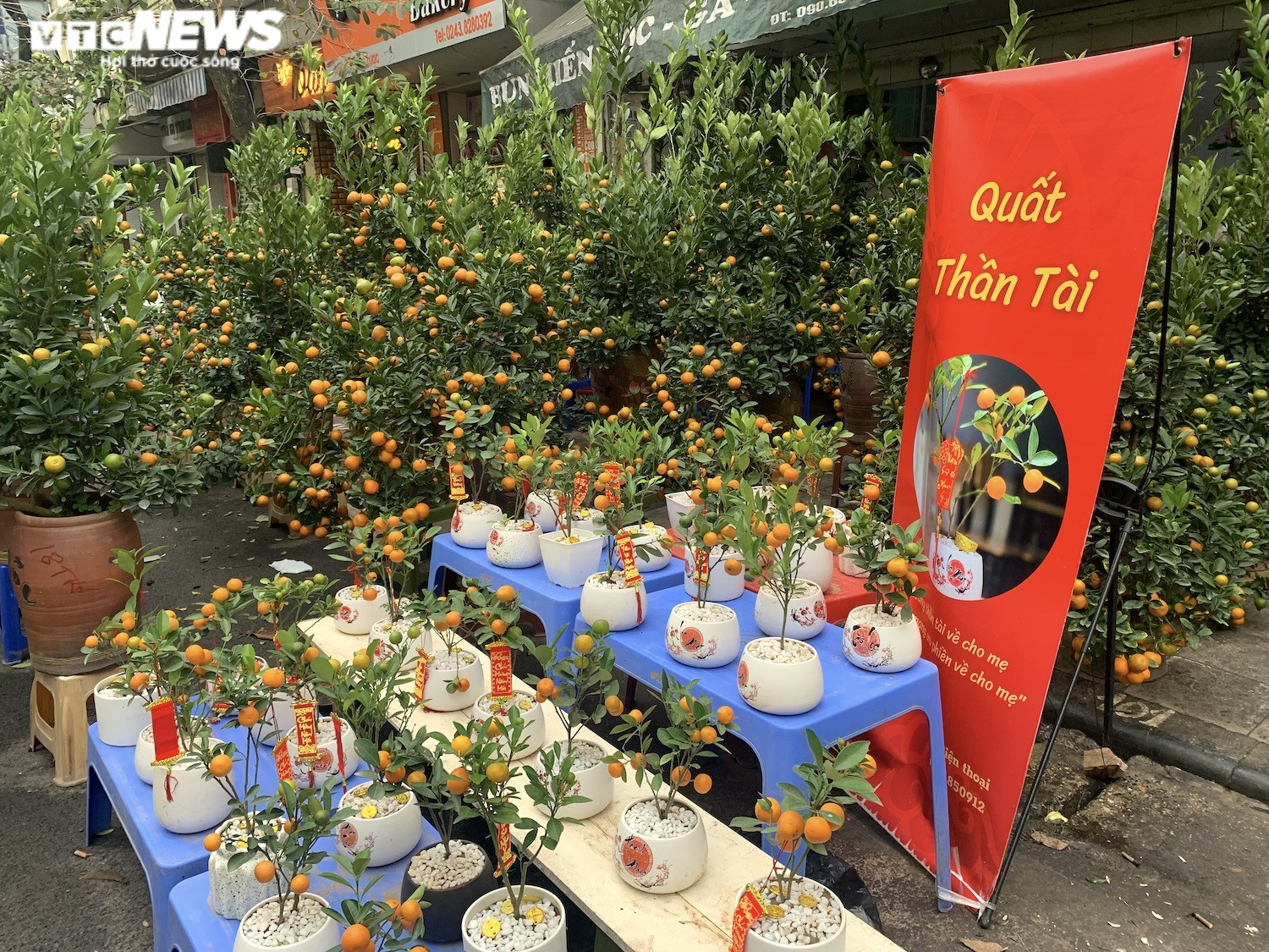 Ảnh: Chợ hoa Tết cổ nhất Hà Nội ngày cuối năm Tân Sửu - 10