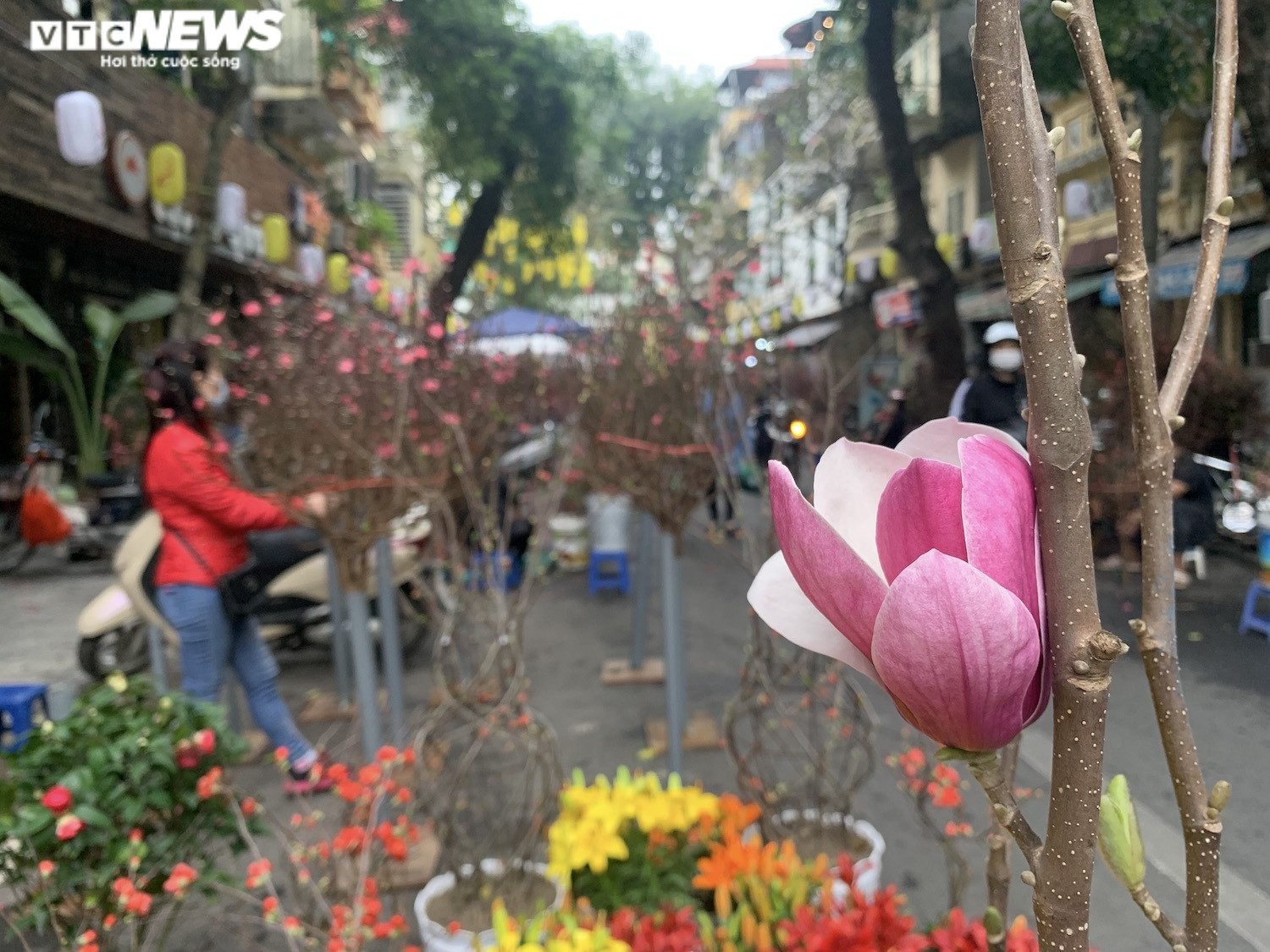 Ảnh: Chợ hoa Tết cổ nhất Hà Nội ngày cuối năm Tân Sửu - 7