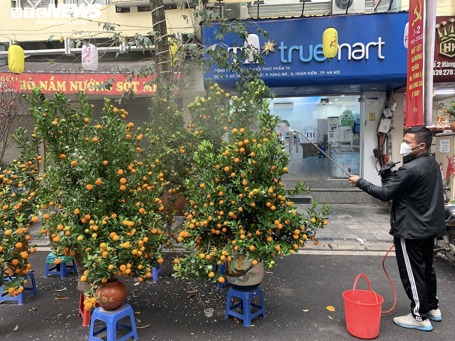 Ảnh: Chợ hoa Tết cổ nhất Hà Nội ngày cuối năm Tân Sửu - 11