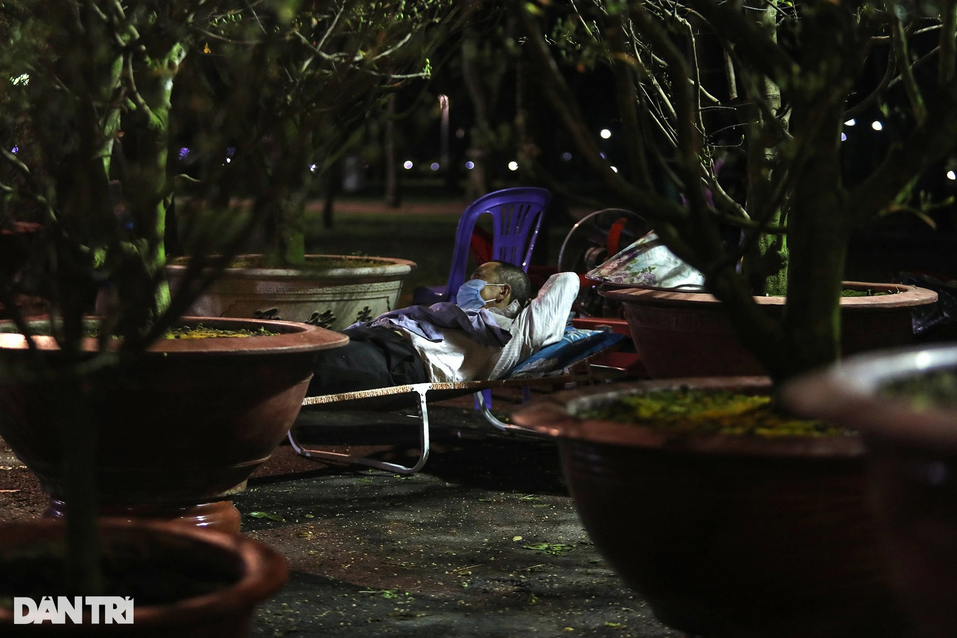 Người bán hoa mắc màn, võng... xuyên đêm canh cây cảnh Tết ở TPHCM - 14