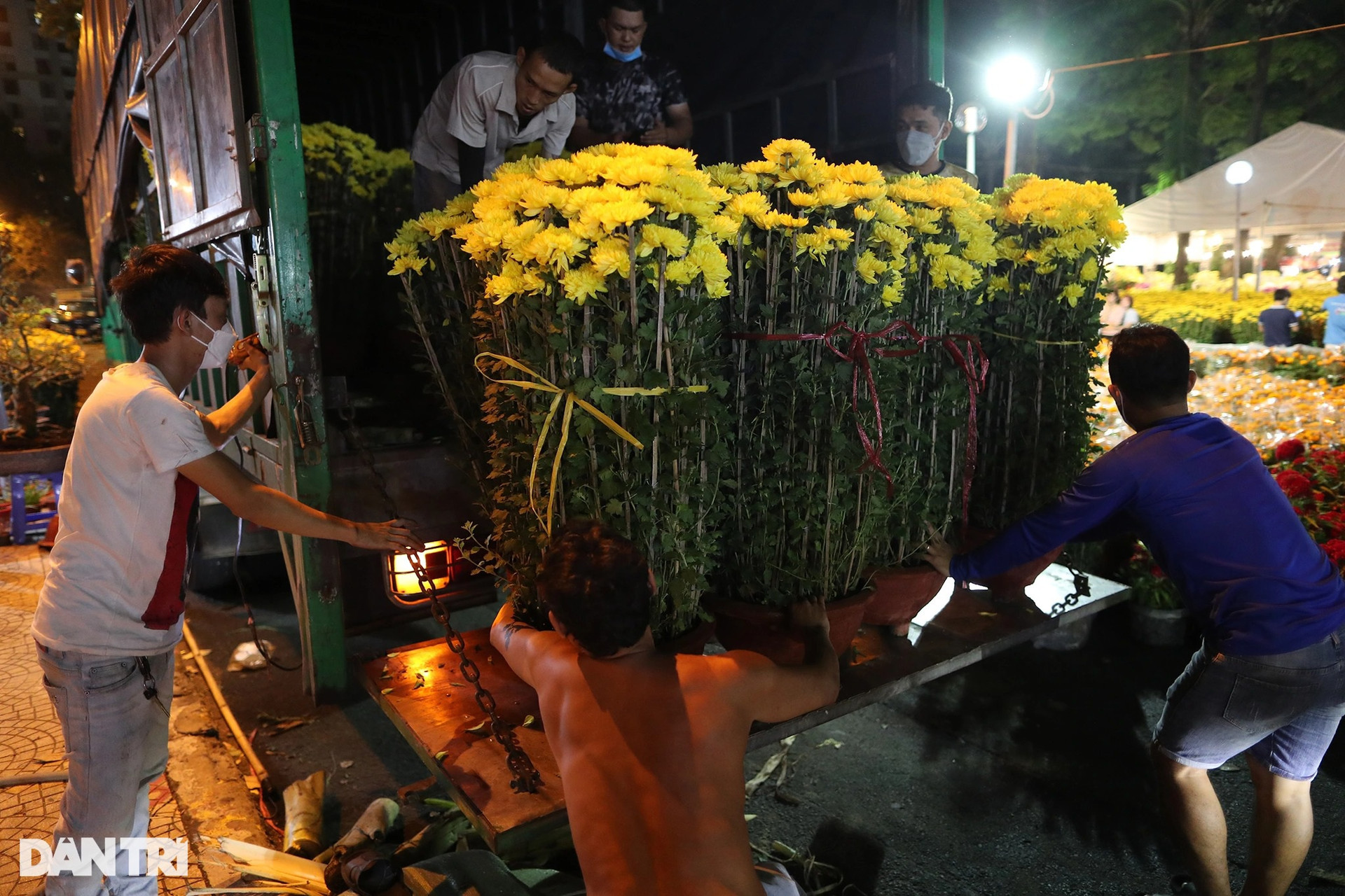 Người bán hoa mắc màn, võng... xuyên đêm canh cây cảnh Tết ở TPHCM - 2