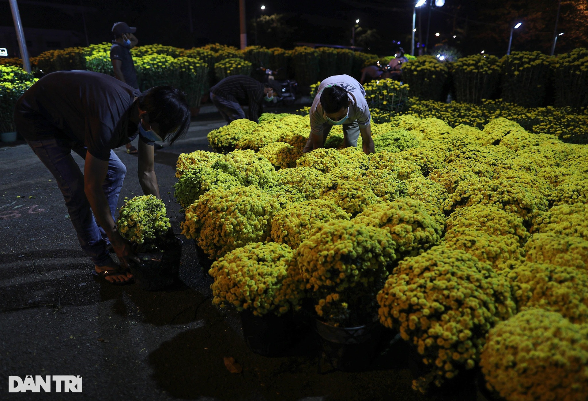 Người bán hoa mắc màn, võng... xuyên đêm canh cây cảnh Tết ở TPHCM - 5