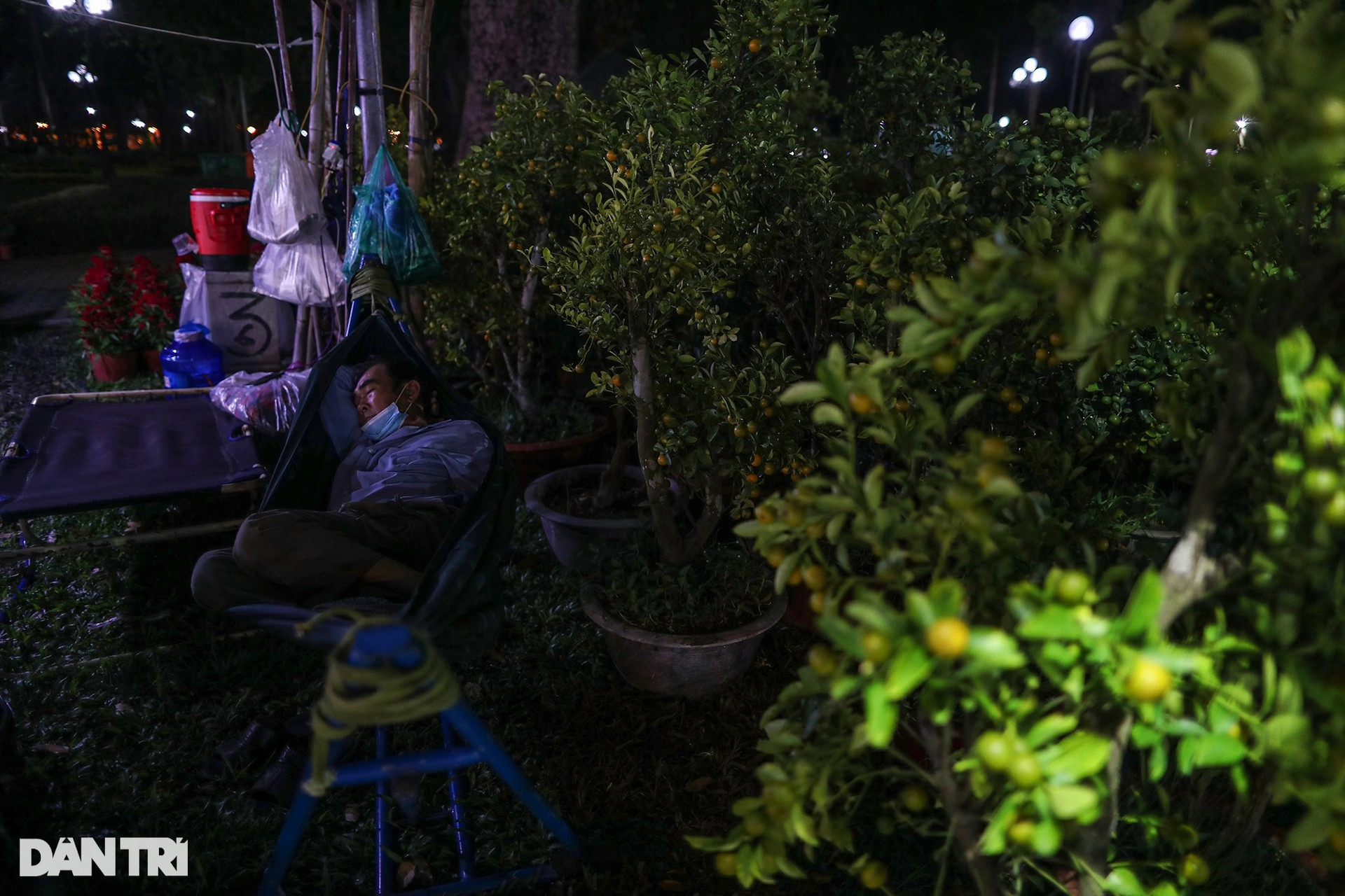 Người bán hoa mắc màn, võng... xuyên đêm canh cây cảnh Tết ở TPHCM - 11