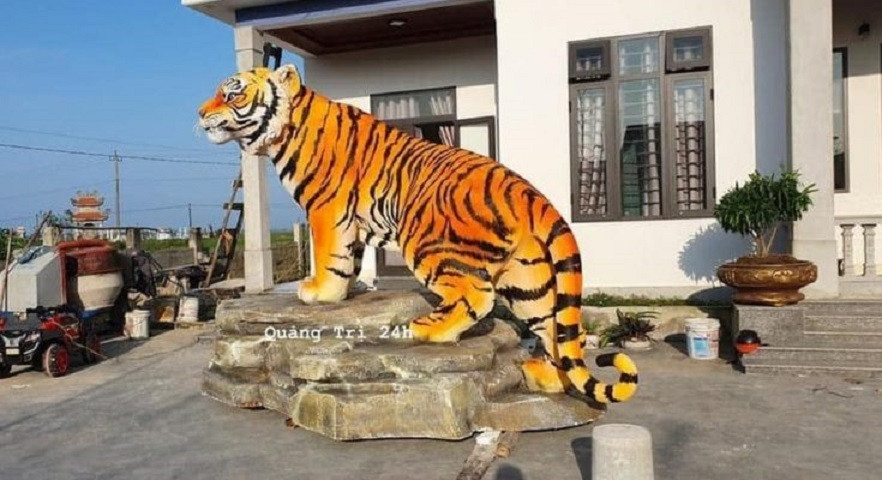 Cộng đồng mạng trầm trồ, khen linh vật hổ ở Quảng Trị đẹp nhất năm nay - 1