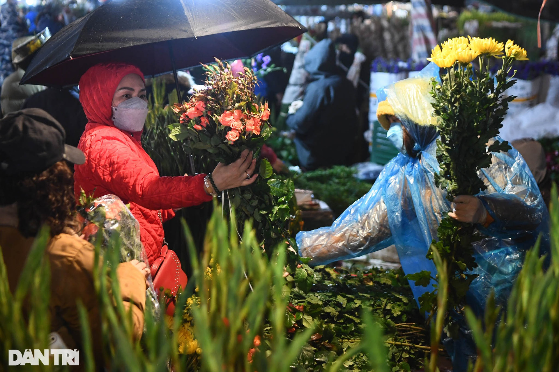 Người dân đội mưa rét mua hoa trong phiên chợ đêm cuối cùng năm Tân Sửu - 7