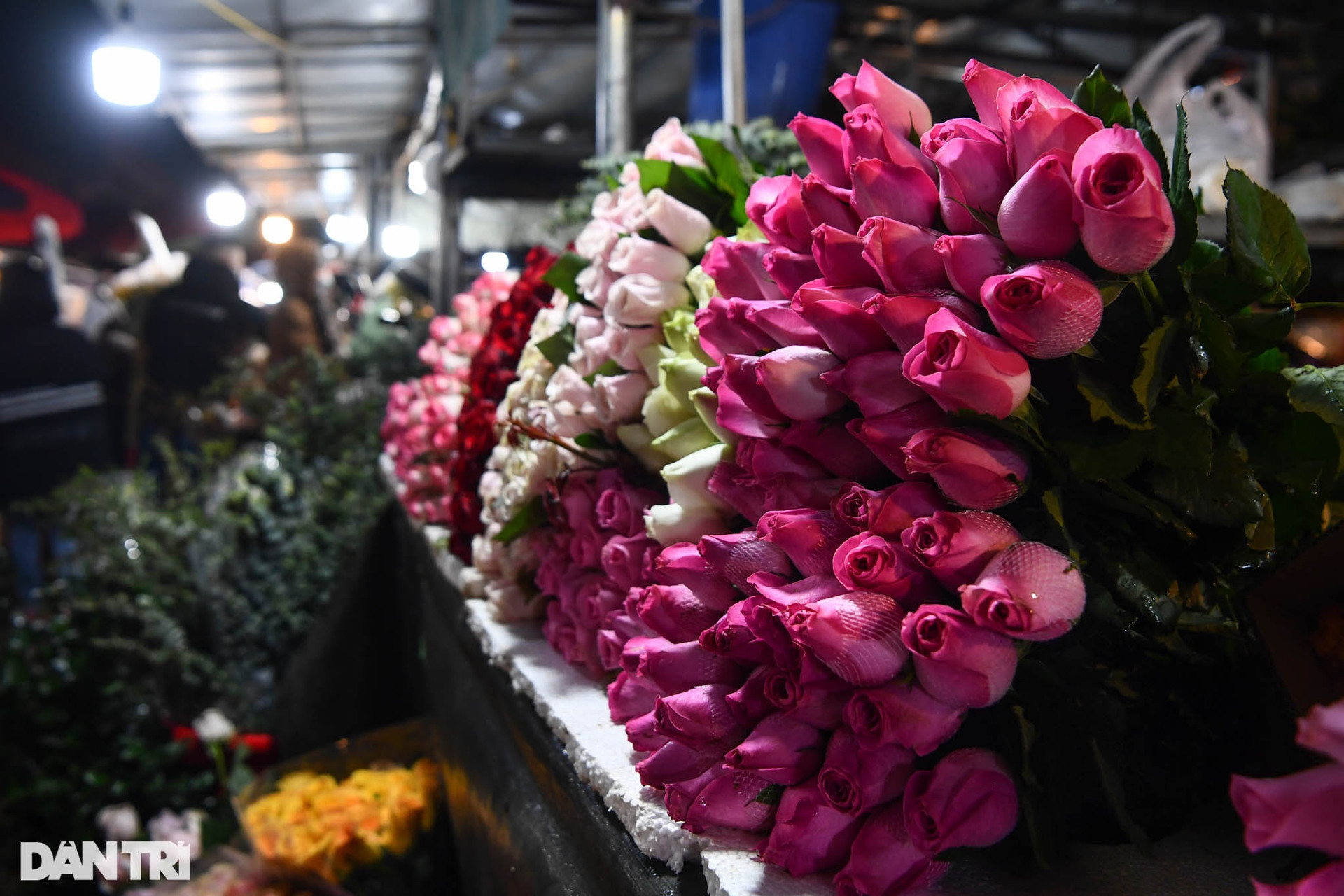 Người dân đội mưa rét mua hoa trong phiên chợ đêm cuối cùng năm Tân Sửu - 12