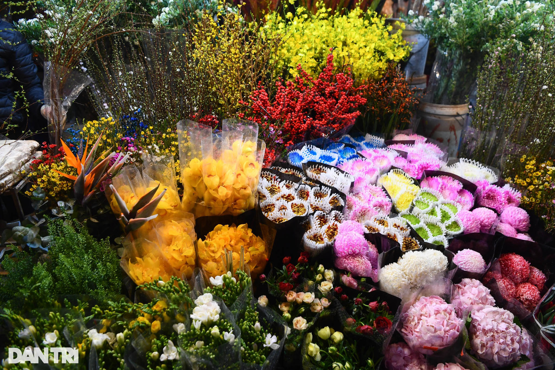 Người dân đội mưa rét mua hoa trong phiên chợ đêm cuối cùng năm Tân Sửu - 6