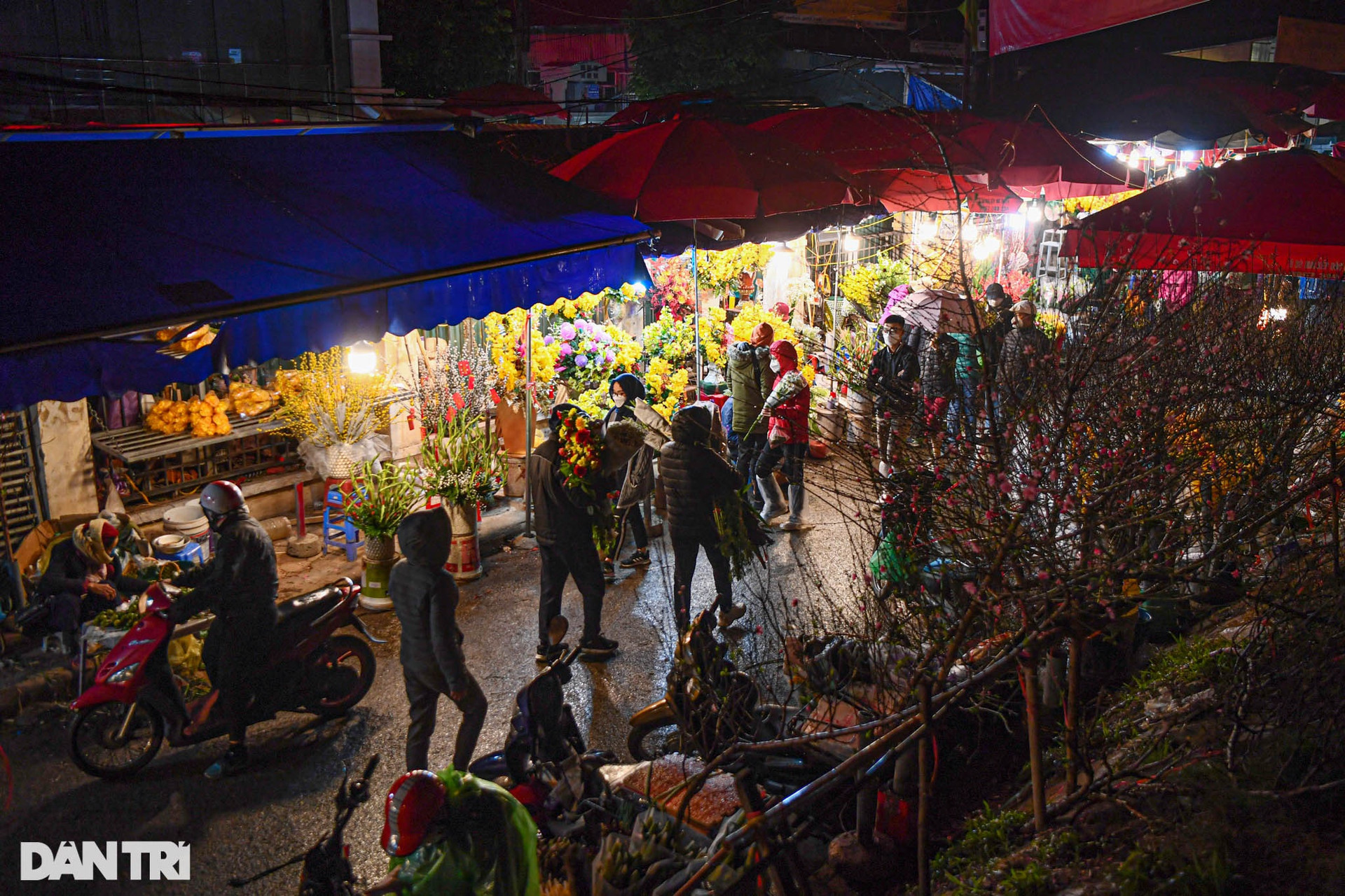Người dân đội mưa rét mua hoa trong phiên chợ đêm cuối cùng năm Tân Sửu - 1
