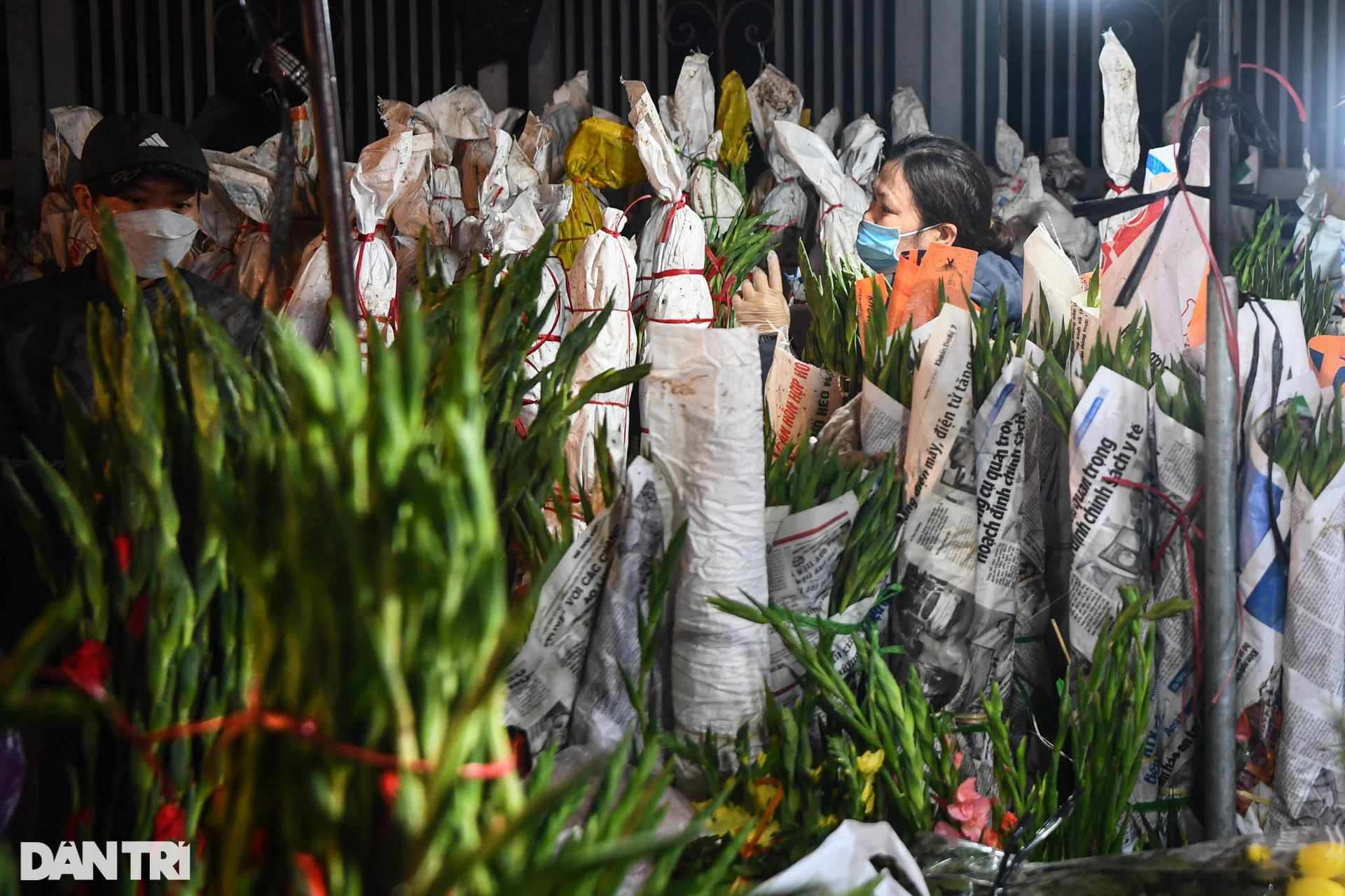 Người dân đội mưa rét mua hoa trong phiên chợ đêm cuối cùng năm Tân Sửu - 11