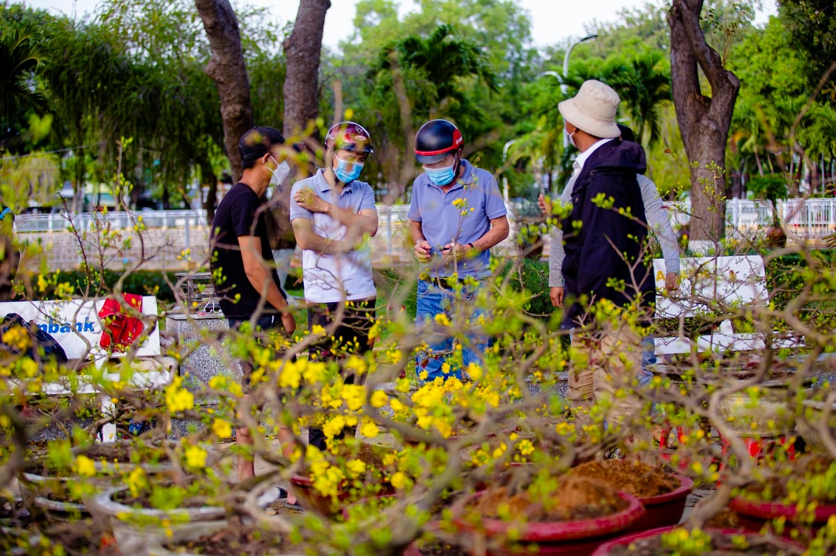 Ninh Thuận: Người dân dạo chợ ngắm hoa là chính, ít người mua - 1