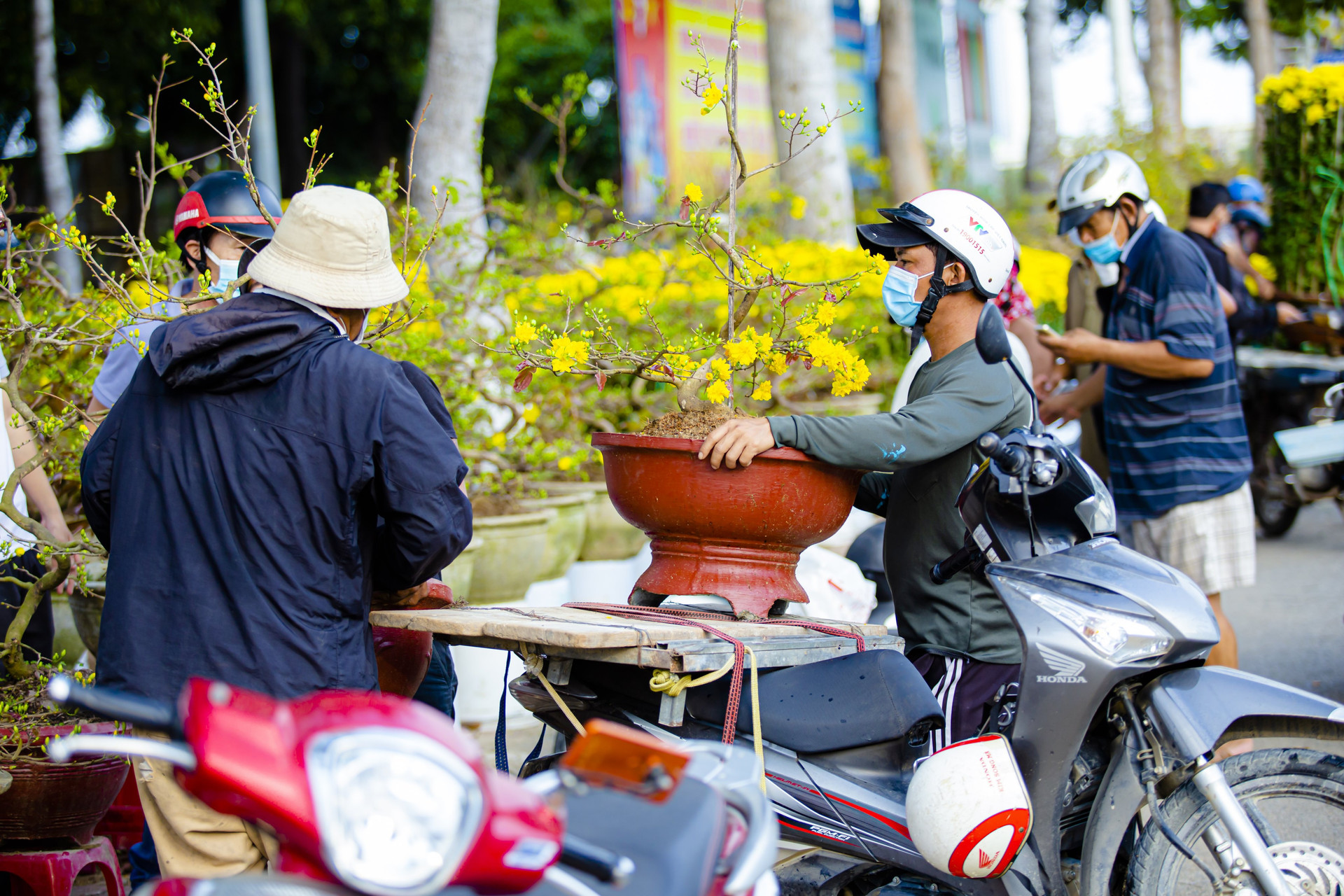Ninh Thuận: Người dân dạo chợ ngắm hoa là chính, ít người mua - 4