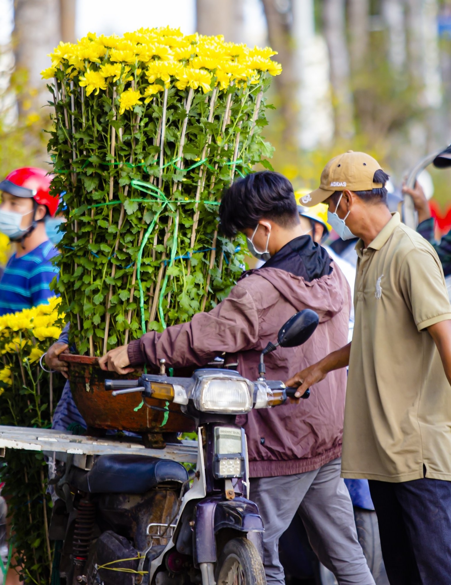 Ninh Thuận: Người dân dạo chợ ngắm hoa là chính, ít người mua - 3