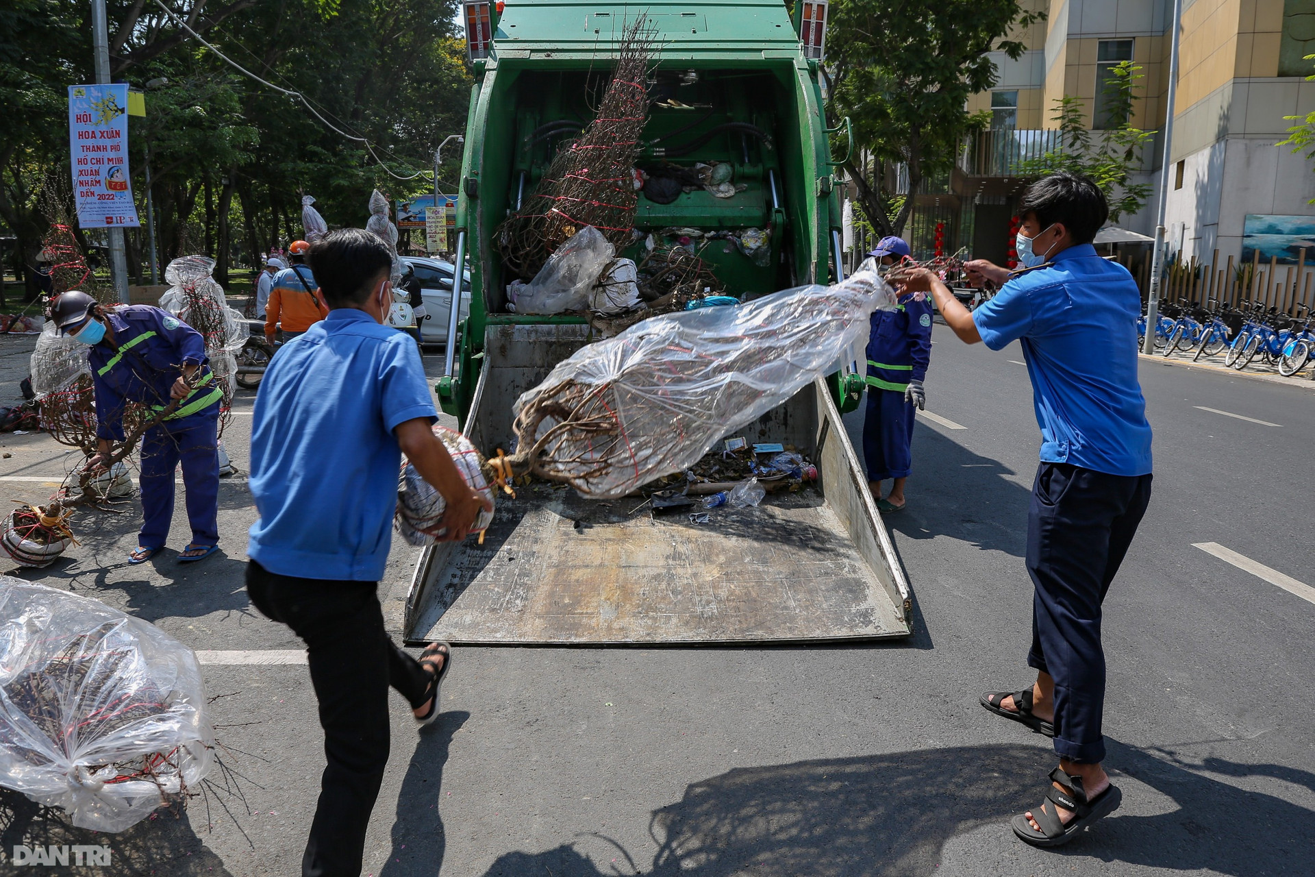Thương lái đẫm nước mắt nhìn cảnh hàng nghìn chậu hoa Tết chuyển lên xe rác - 8