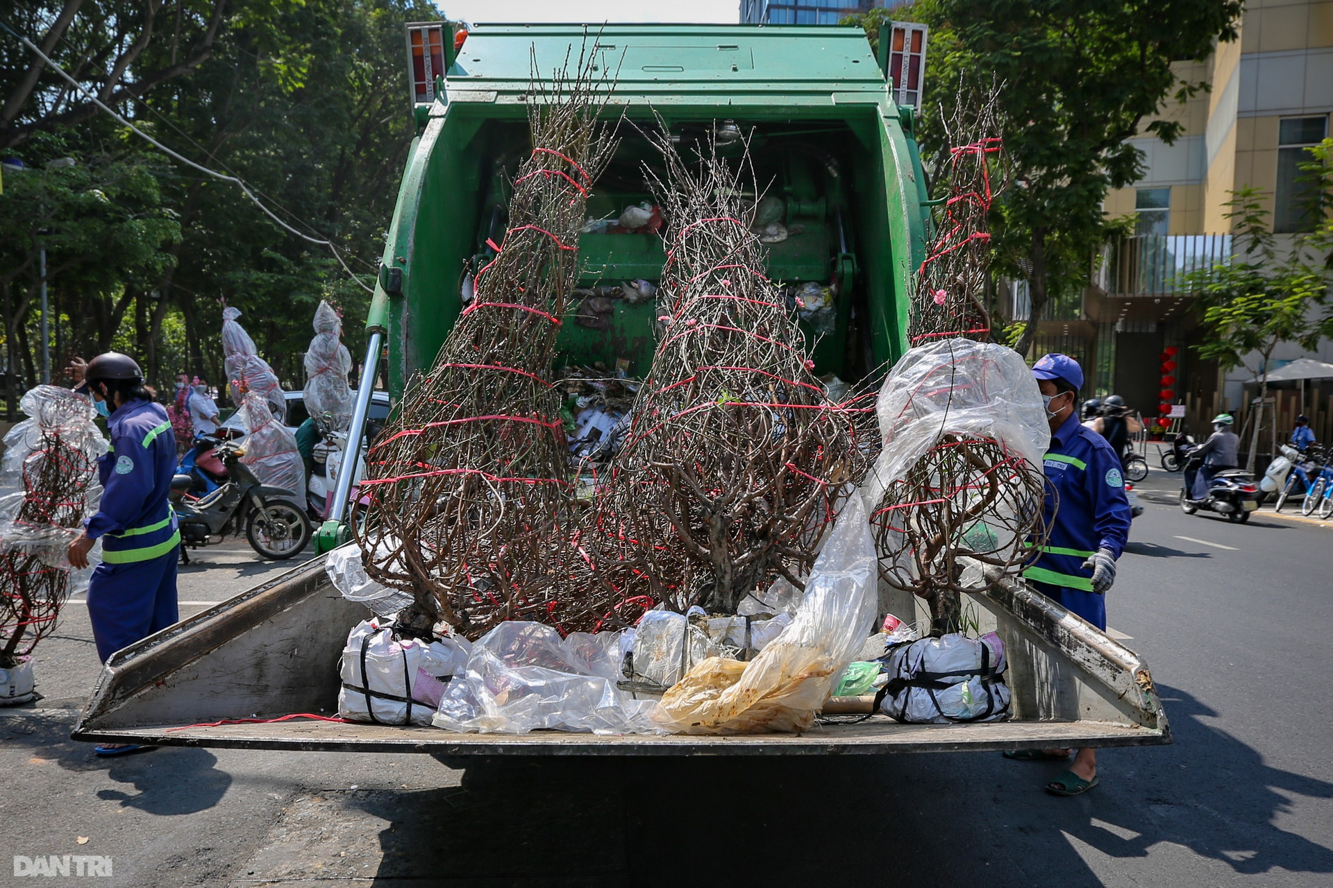 Thương lái đẫm nước mắt nhìn cảnh hàng nghìn chậu hoa Tết chuyển lên xe rác - 12