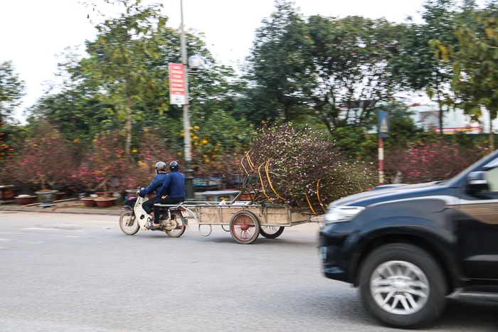 Ảnh: Kiếm tiền triệu mỗi ngày từ nghề chở ‘Tết’ - 6