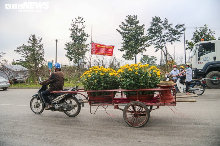 Ảnh: Kiếm tiền triệu mỗi ngày từ nghề chở ‘Tết’ - 8