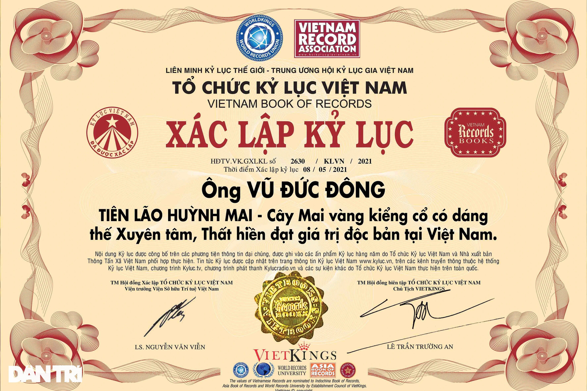 Mục sở thị lão mai dáng xuyên tâm, bông chi chít lập kỷ lục Việt Nam - 7