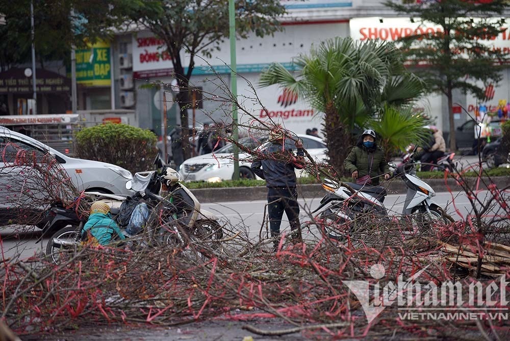 Sát giao thừa, dân Hà Nội đổ ra vỉa hè mót đào rừng về chơi Tết