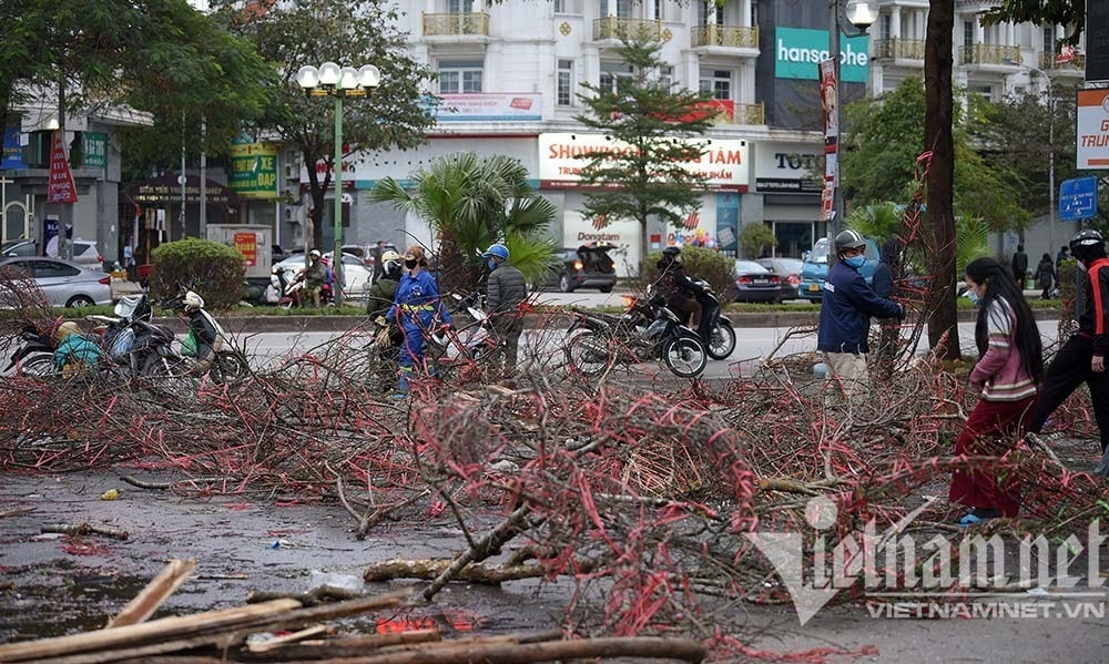 Sát giao thừa, dân Hà Nội đổ ra vỉa hè mót đào rừng về chơi Tết