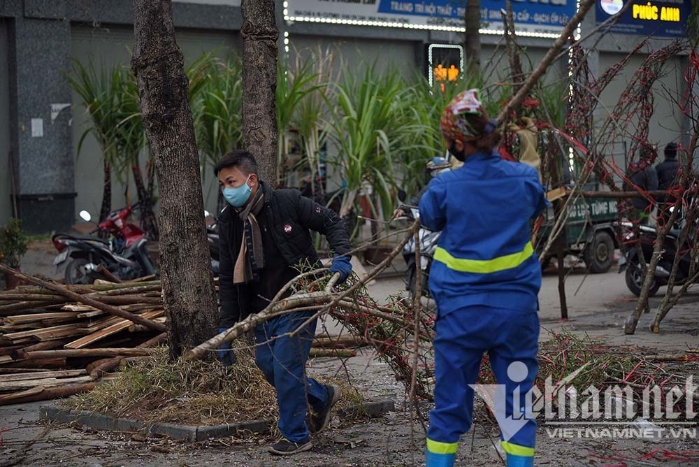 Sát giao thừa, dân Hà Nội đổ ra vỉa hè mót đào rừng về chơi Tết