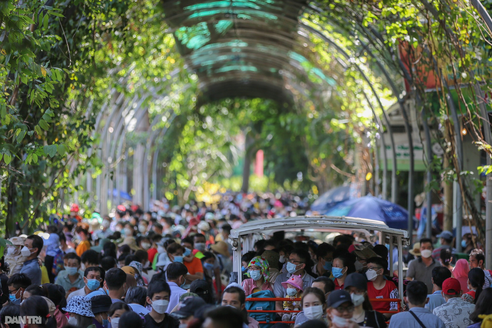 Hàng chục nghìn người dân tham quan, cắm trại ở Thảo cầm viên Sài Gòn - 4