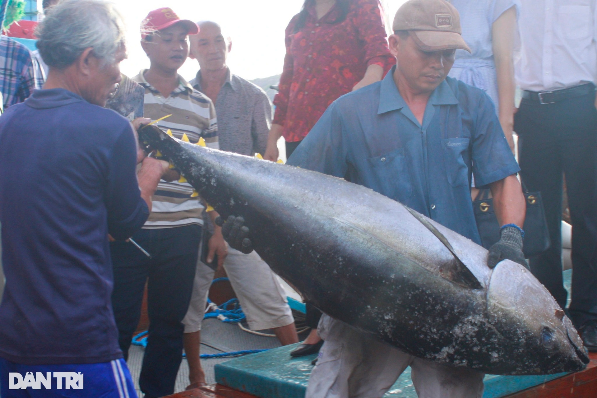 Làng biển nhiều biệt thự nhất Bình Định nhờ nghề câu loài cá khủng - 3