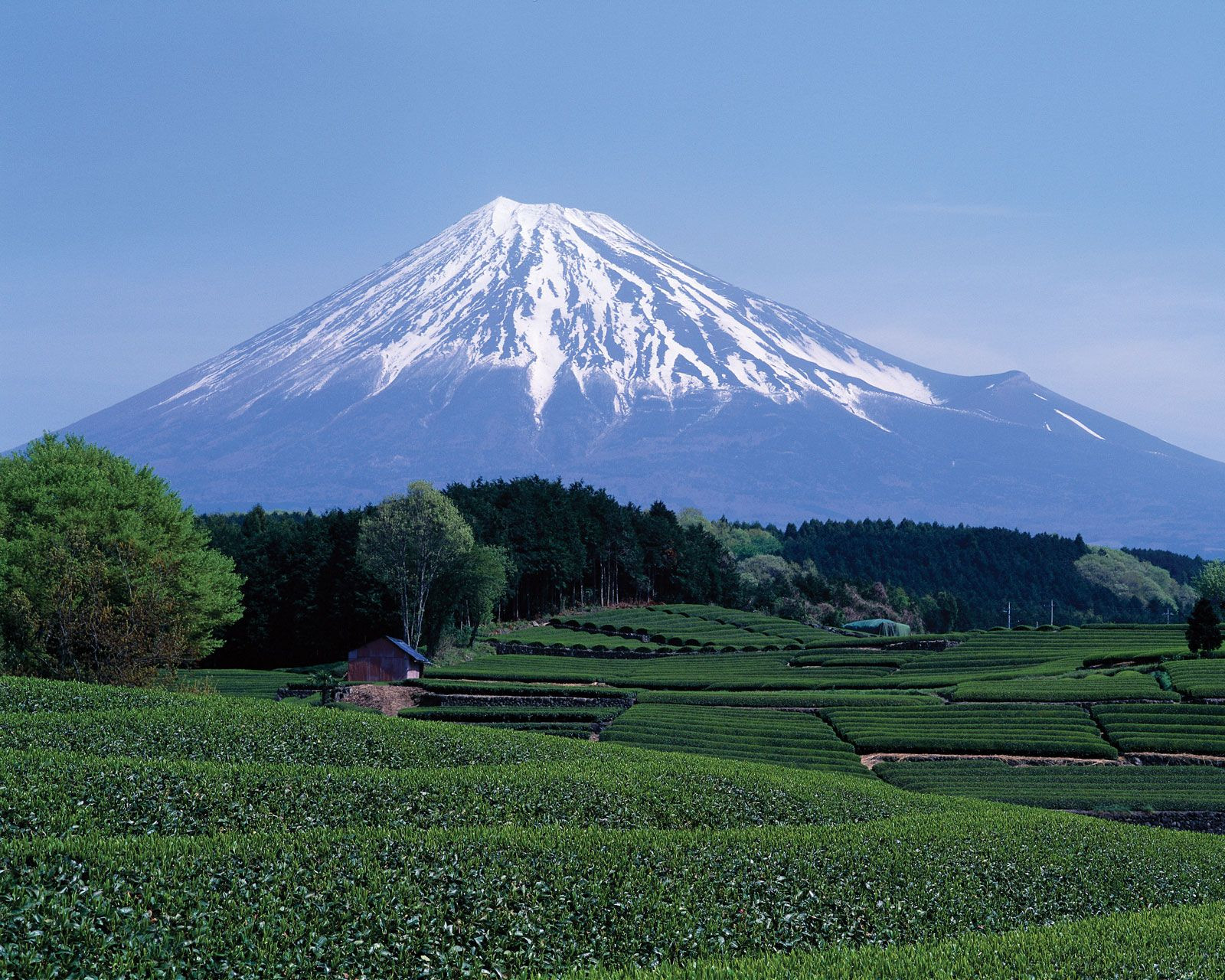 Cảnh đẹp bốn mùa quanh năm thuần khiết tuyệt mỹ của núi Phú Sĩ - 6