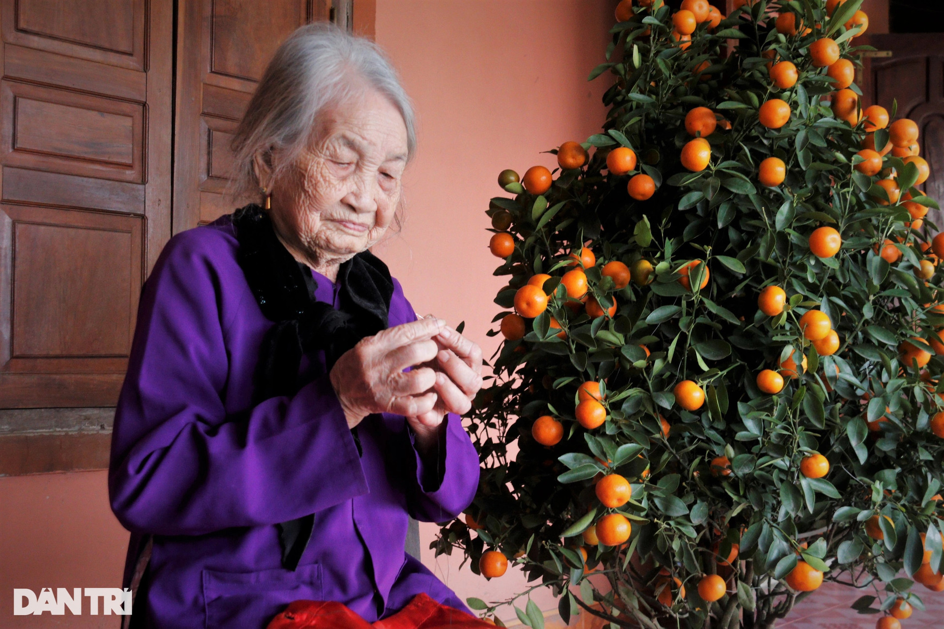 Thán phục cụ bà 101 tuổi vẫn xâu kim, đọc truyện Kiều vanh vách - 1