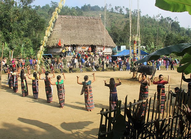 Sac xuan o lang Bho hoong hinh anh 1