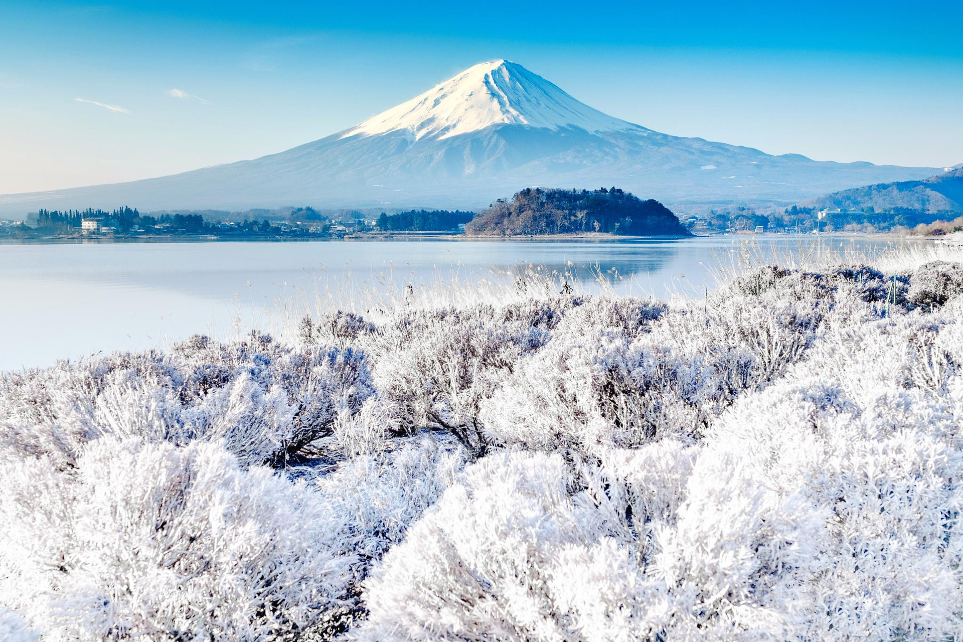 Cảnh đẹp bốn mùa quanh năm thuần khiết tuyệt mỹ của núi Phú Sĩ - 10