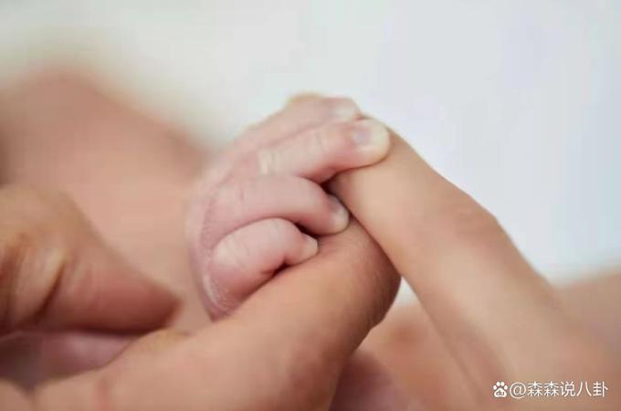 Lâm Chí Linh bị đồn nhờ mang thai hộ-2