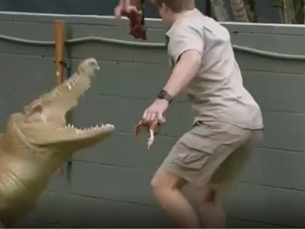 Hậu duệ 'thợ săn cá sấu' thoát chết trong gang tấc khi đối mặt với bò sát khổng lồ
