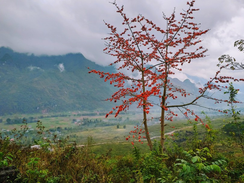 Mưa xuân qua cổ trấn hoa đào - 2