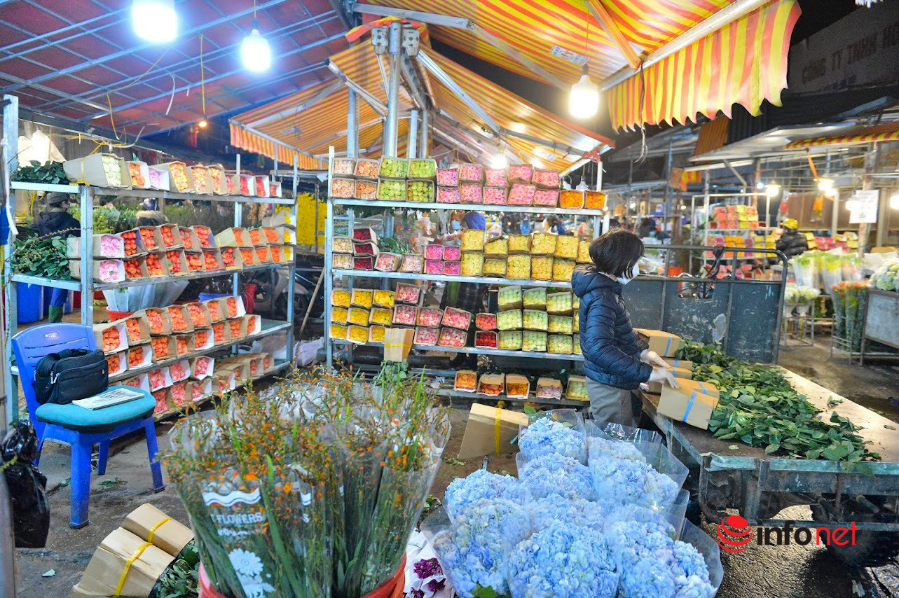 Chợ hoa lớn nhất Hà Nội ngày lễ tình yêu: Hoa đẹp nhưng khách vắng tanh