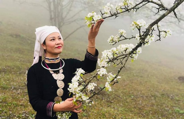 Làn mây, sương phủ làm cho khung cảnh hoa lê ở Hồng Thái thêm phần thi vị.