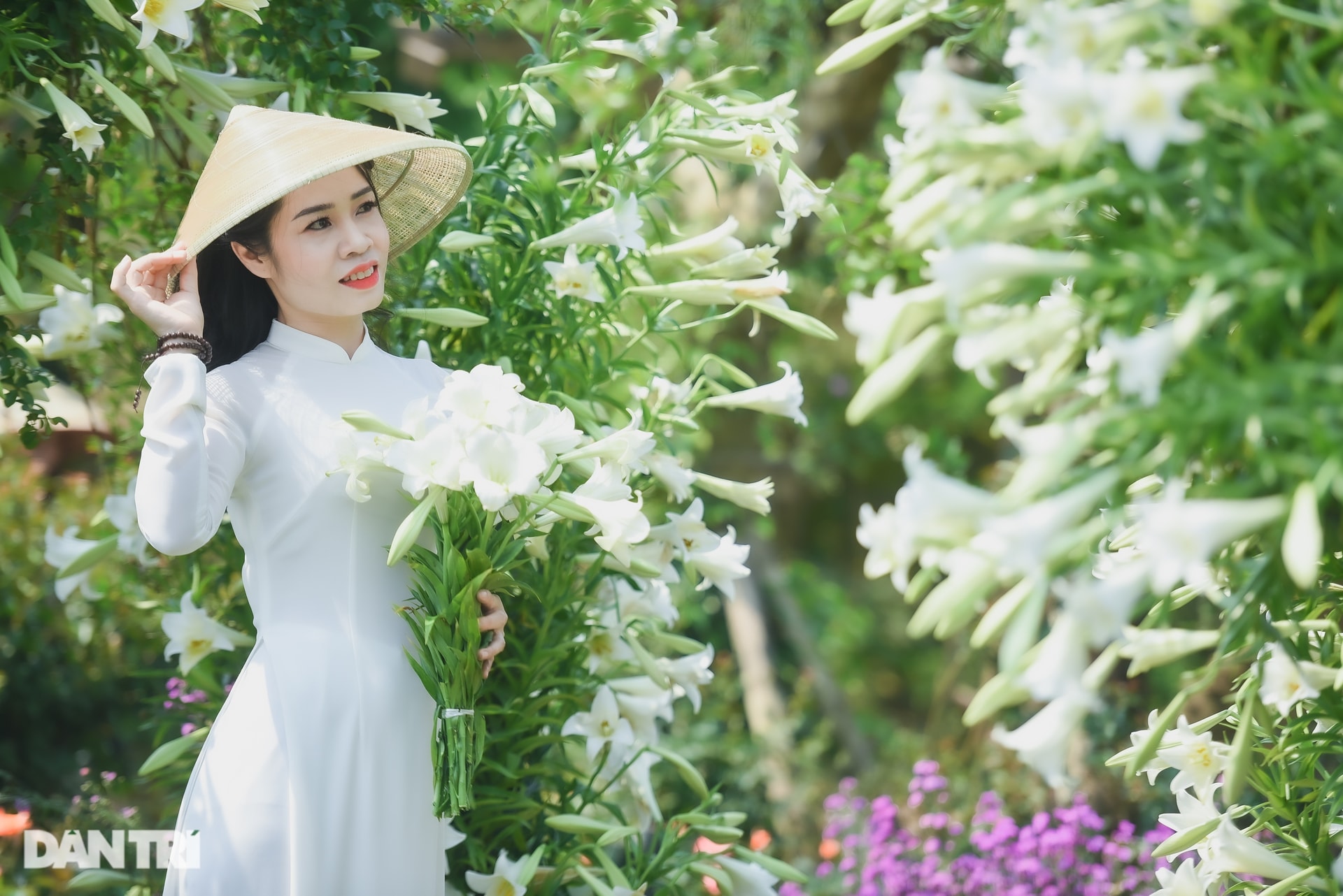 Chị em Hà thành chịu chơi, chi tiền triệu săn ảnh hoa loa kèn - 8 Chị em Hà thành chịu chơi, chi tiền triệu săn ảnh hoa loa kèn - 8