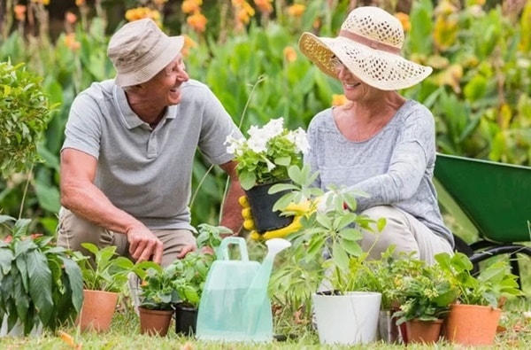 Những người sống lâu nhất thế giới luôn làm đủ 4 điều đơn giản này mỗi ngày để mạch máu trẻ khỏe, cả đời không lo bệnh tim mạch-2