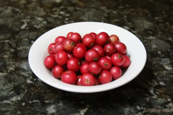Không cần cherry, việt quất nhập khẩu đắt đỏ, ở Việt Nam có 1 loại quả rụng đầy gốc thay thế tốt, vừa sản xuất collagen lại phòng bệnh ung thư-4