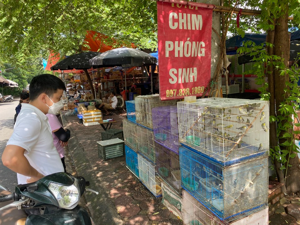 Người mua chim phóng sinh trên đường Hoàng Hoa Thám.