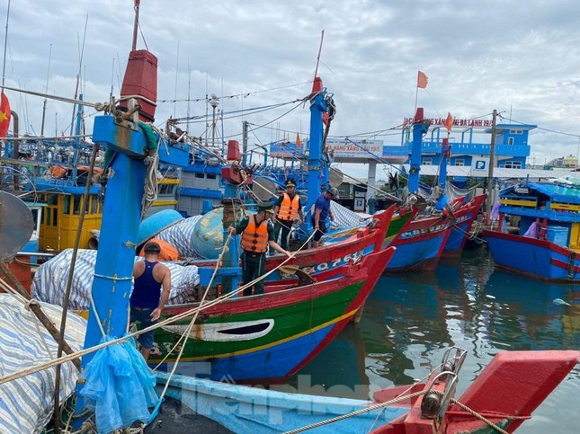 Trước 18h ngày 27/9, Quảng Ngãi hoàn thành di dời gần 85.000 dân để tránh bão Noru ảnh 17