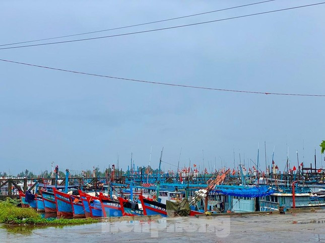 Trước 18h ngày 27/9, Quảng Ngãi hoàn thành di dời gần 85.000 dân để tránh bão Noru ảnh 2