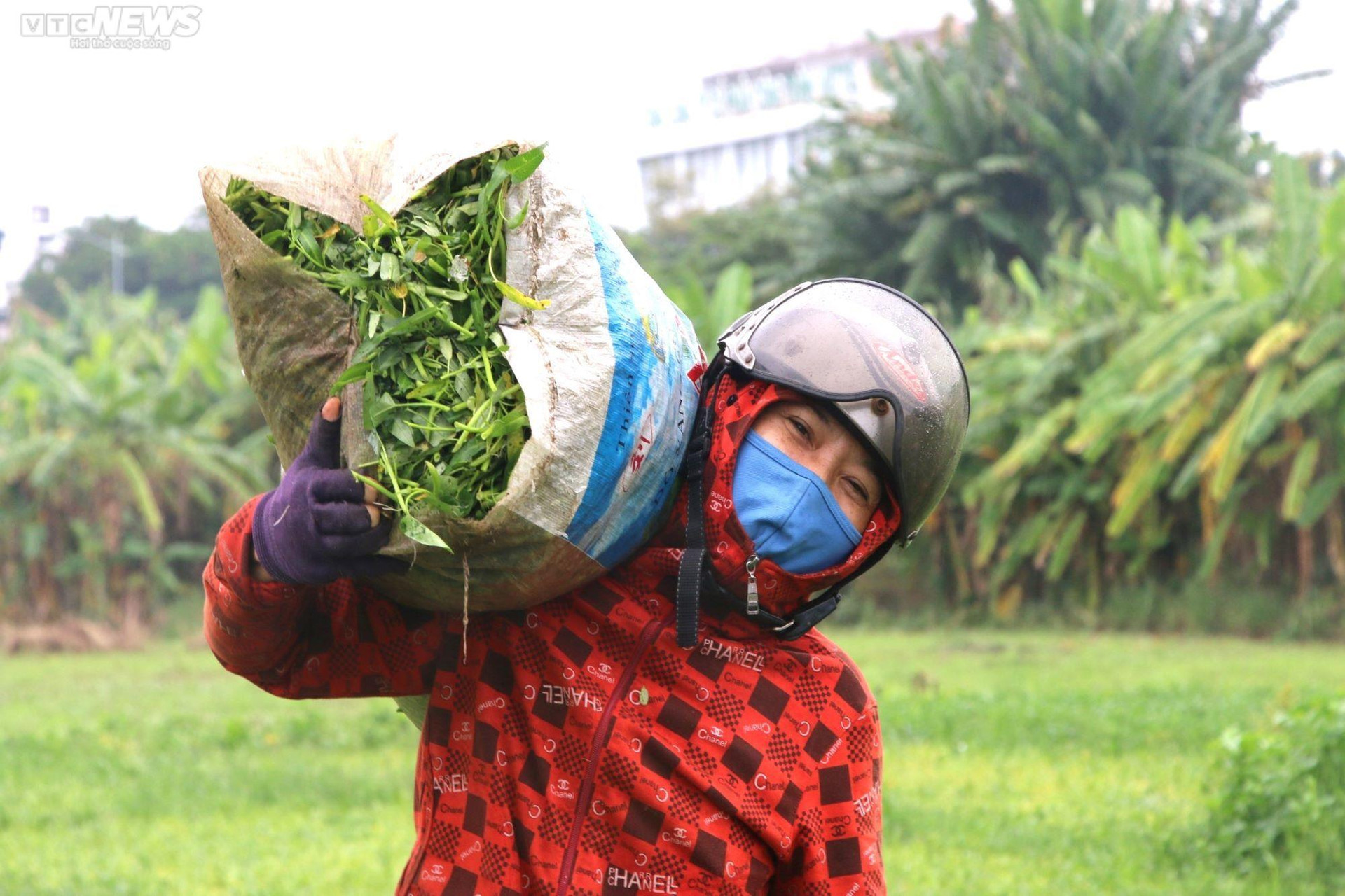 Nông dân vựa rau lớn nhất Đà Nẵng tất bật thu hoạch chạy siêu bão Noru sắp đổ bộ - 4