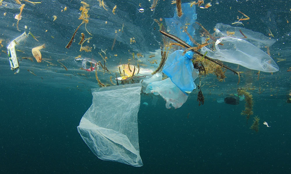 Rác thải nhựa đại dương: Mối đe dọa của toàn nhân loại  - 1