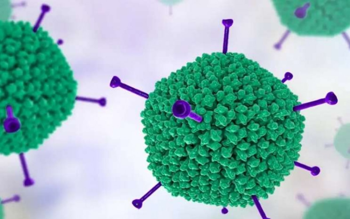 Chuyên gia: Không xét nghiệm tràn lan Adeno virus ở trẻ em - 1